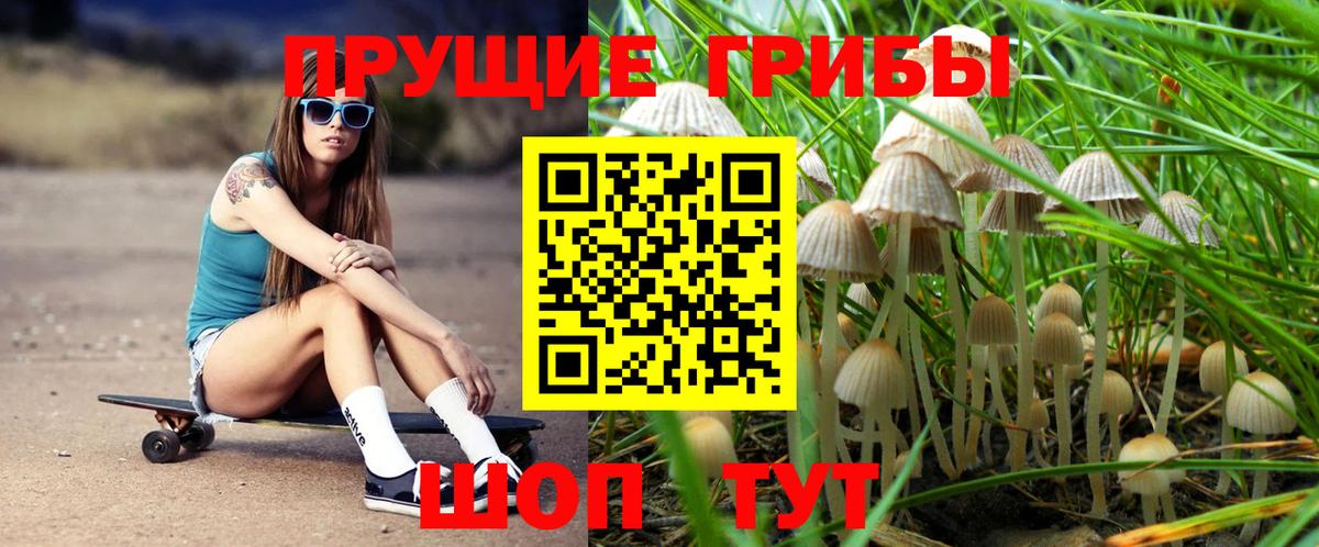 Абинск  Псилоцибиновые грибы MAGIC MUSHROOMS  Галлюциногенные грибы GOLDEN TEACHER  Вход с VPN 